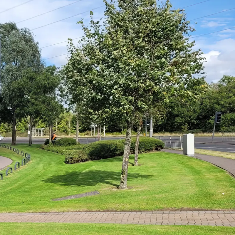 Groundtech Scotland - Commercial ground care in Paisley